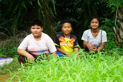 ชวนนักเรียน “กินผัก” เพื่อสุขภาพที่ “โรงเรียนบ้านป่าตง”  thaihealth
