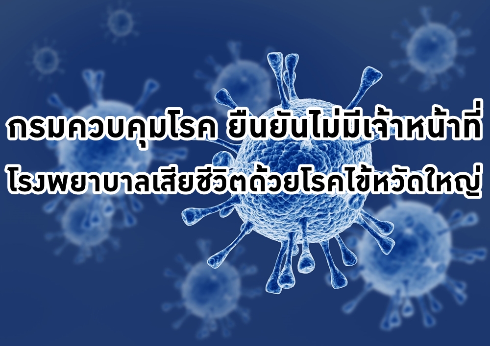 กรมควบคุมโรค ยืนยันไม่มีเจ้าหน้าที่โรงพยาบาลเสียชีวิตด้วยโรคไข้หวัดใหญ่  thaihealth