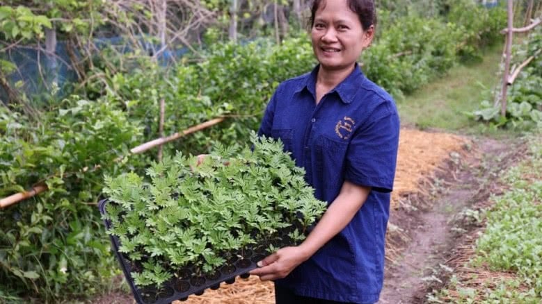 สกก.อินทรีย์เชียงใหม่ ส่งเสริมเกษตรอินทรีย์ thaihealth