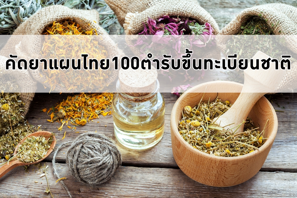 คัดยาแผนไทย100ตำรับขึ้นทะเบียนชาติ thaihealth