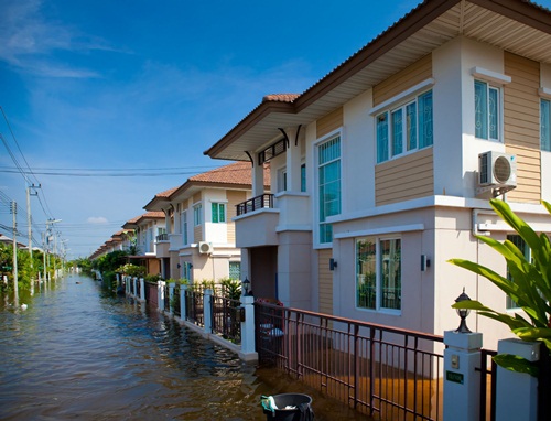 เตือน โรคที่มากับน้ำและสัตว์มีพิษ  thaihealth