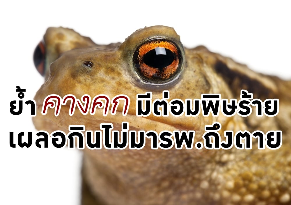 ย้ำ