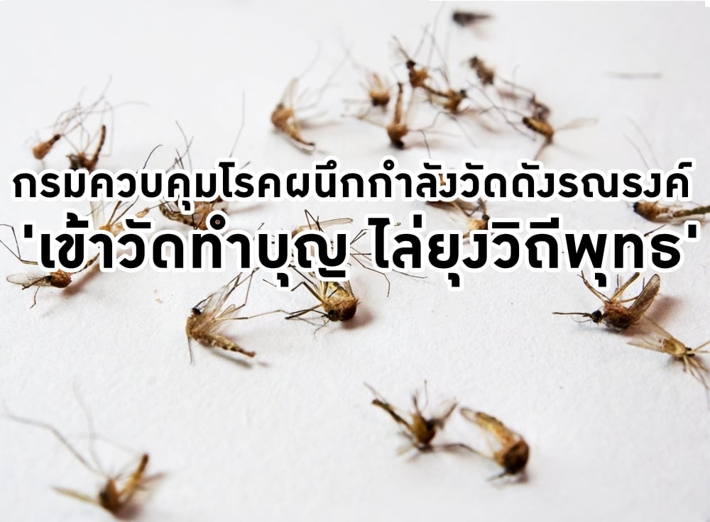 กรมควบคุมโรคผนึกกำลังวัดดังรณรงค์'เข้าวัดทำบุญ ไล่ยุงวิถีพุทธ' thaihealth