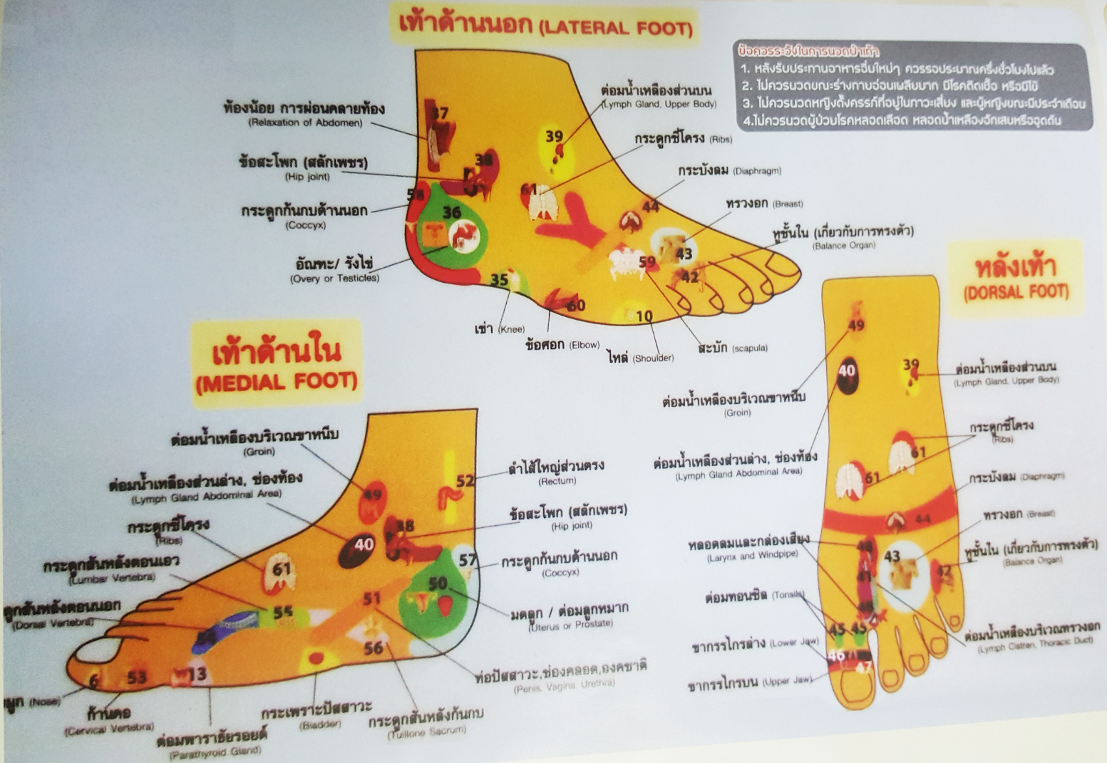กดไลค์รัวๆ! นวดเท้าเลิกบุหรี่ thaihealth