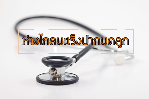 ห่างไกลมะเร็งปากมดลูก thaihealth