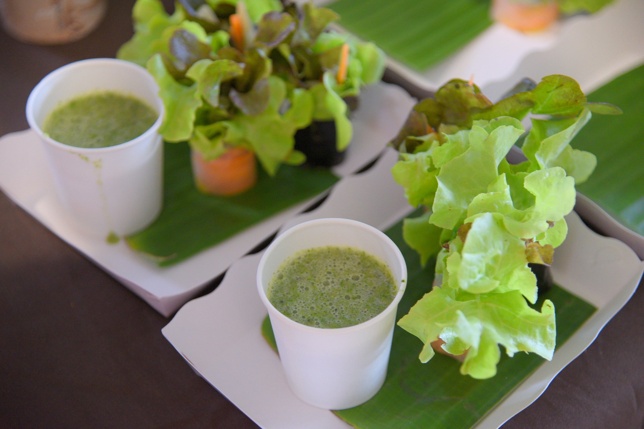 กินผักปลูกสุขเสริมพลังสุขภาพ thaihealth