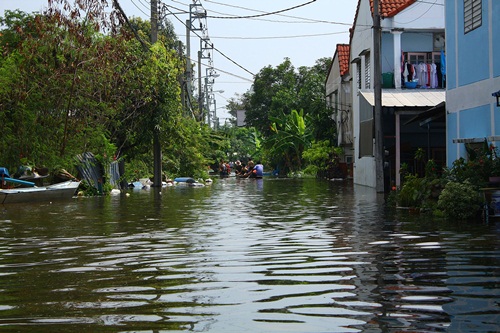  เตือน อีสาน-ใต้ ระวัง โรคเมลิออยโดสิส thaihealth