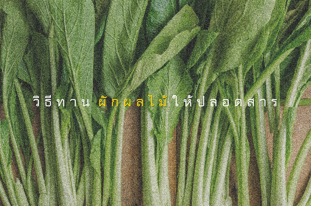 วิธีทานผักผลไม้ให้ปลอดสาร thaihealth