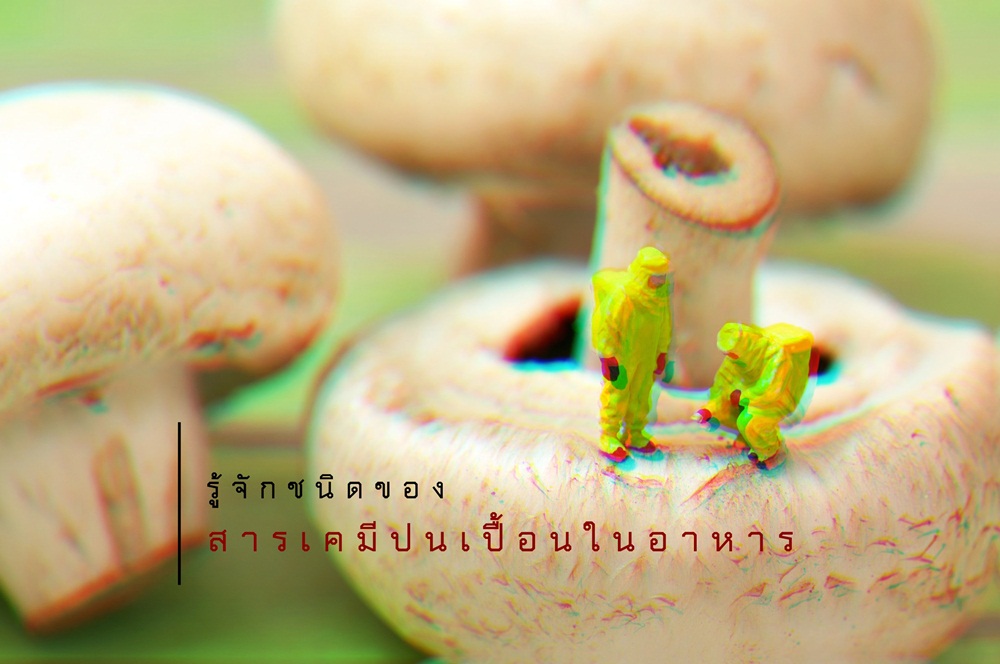 รู้จักชนิดของสารเคมีปนเปื้อนในอาหาร thaihealth