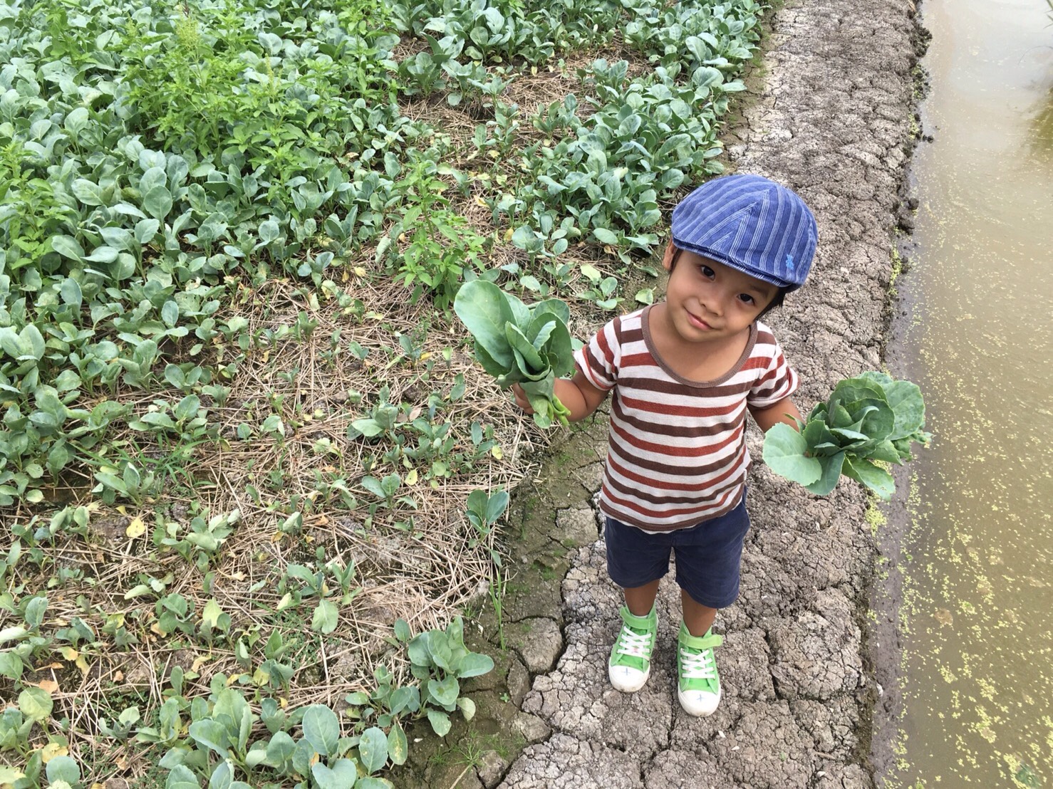 รู้แล้วต้องลอง  7 วิธีจูงใจลูกรัก สร้างนักกินผักตัวน้อย thaihealth
