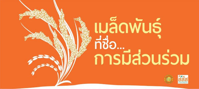 เมล็ดพันธุ์ที่ชื่อการมีส่วนร่วม  thaihealth