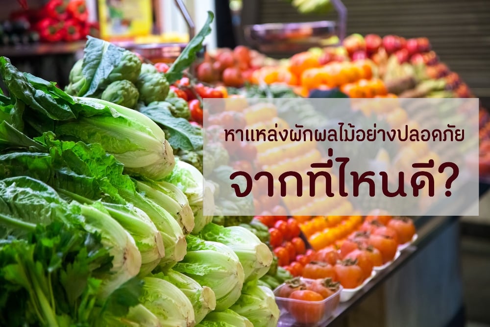 หาแหล่งผักผลไม้อย่างปลอดภัย จากที่ไหนดี?  thaihealth