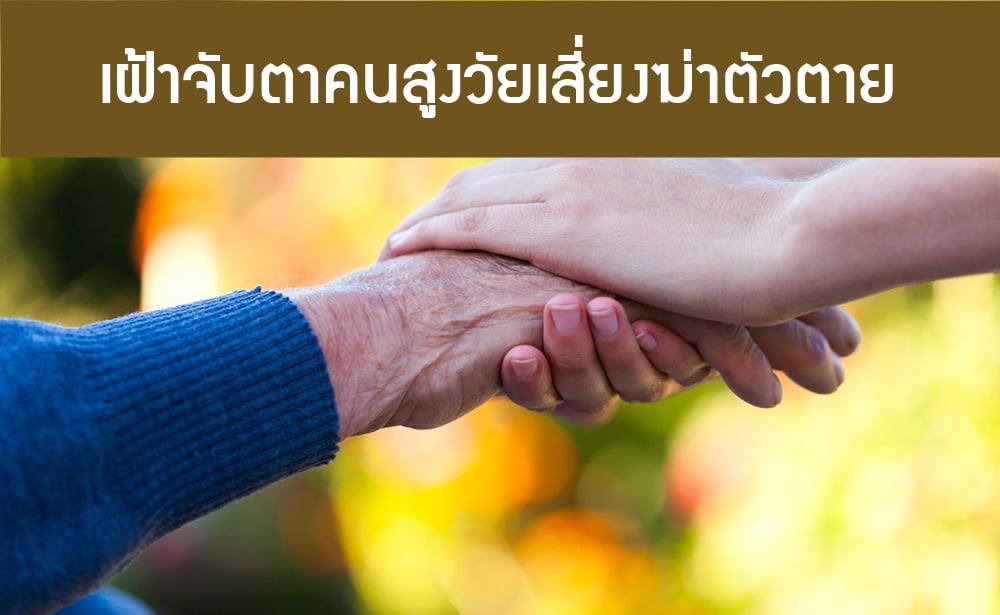 เฝ้าจับตาคนสูงวัยเสี่ยงฆ่าตัวตาย thaihealth