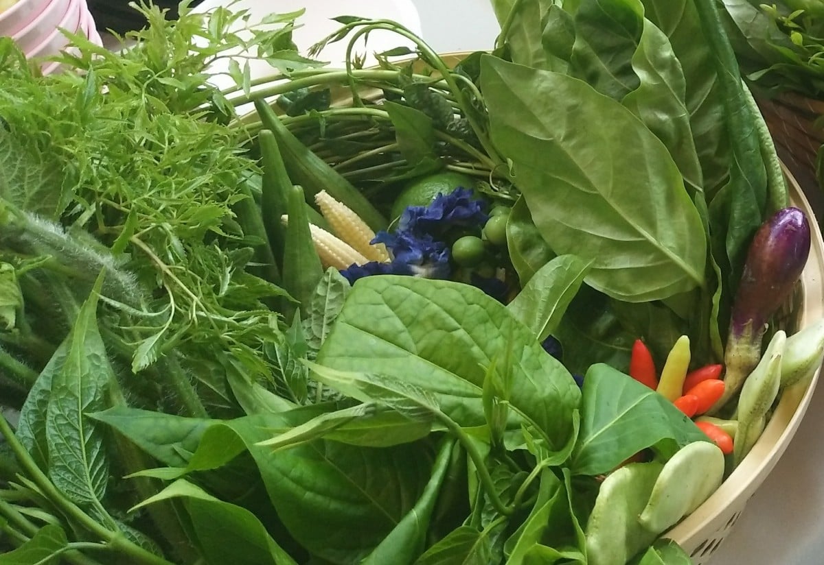 ผักปลอดสารบ้าน 'แม่อาว' แหล่งผลิตอาหารปลอดภัยสู่ครัวเรือน thaihealth