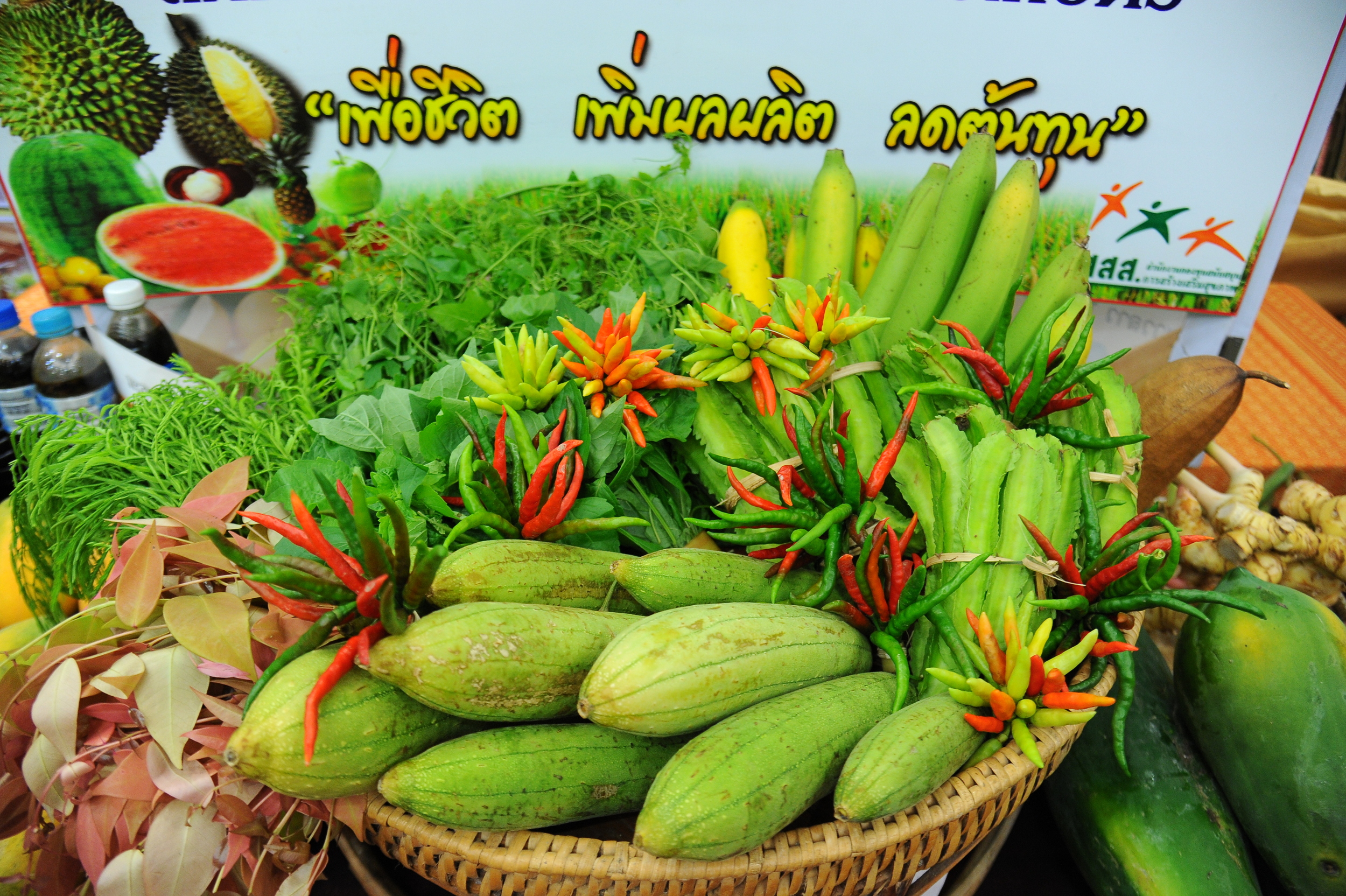 เกษตรอินทรีย์ไม่จำเป็นต้องแพง thaihealth