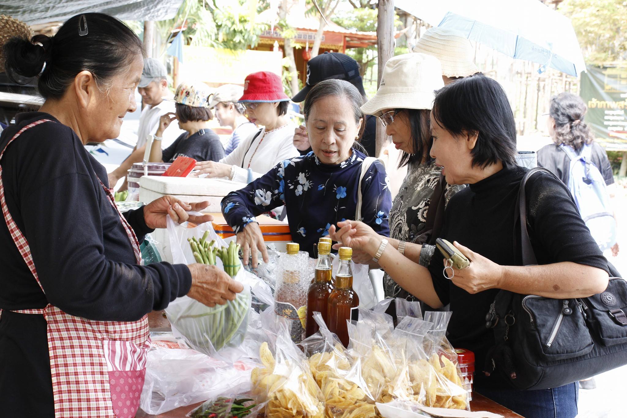 Shop สุขใจพาเที่ยวสวน ครั้งที่ 3  thaihealth