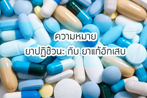 ความหมาย ยาปฏิชีวนะ กับ ยาแก้อักเสบ thaihealth