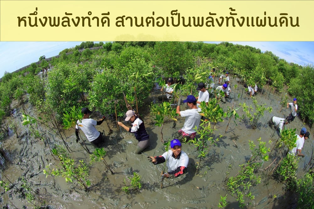 หนึ่งพลังทำดี สานต่อเป็นพลังทั้งแผ่นดิน thaihealth