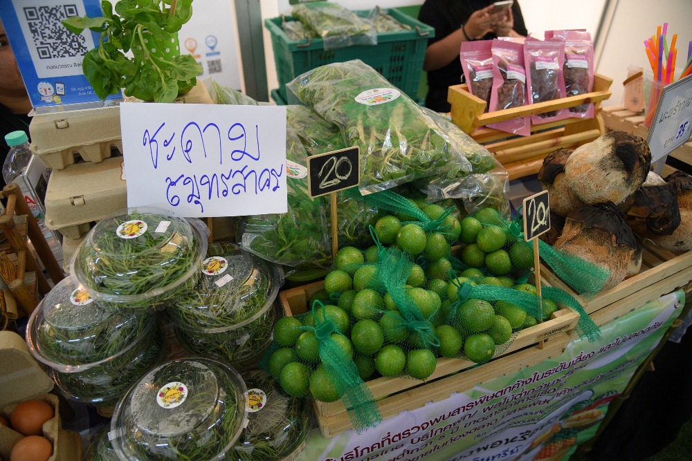 กินผักผลไม้ปลอดภัยให้เพียงพอลดเสี่ยงโรค NCDs thaihealth