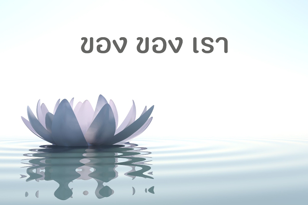 ของของเรา thaihealth