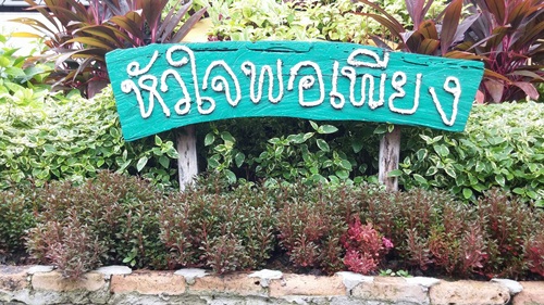 กรมสุขภาพจิต เน้นย้ำ ใช้ชีวิตพอเพียงอย่างมีสติ  thaihealth