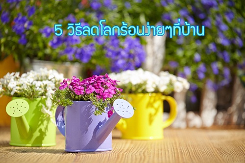5 วิธีลดโลกร้อนง่ายๆที่บ้าน thaihealth