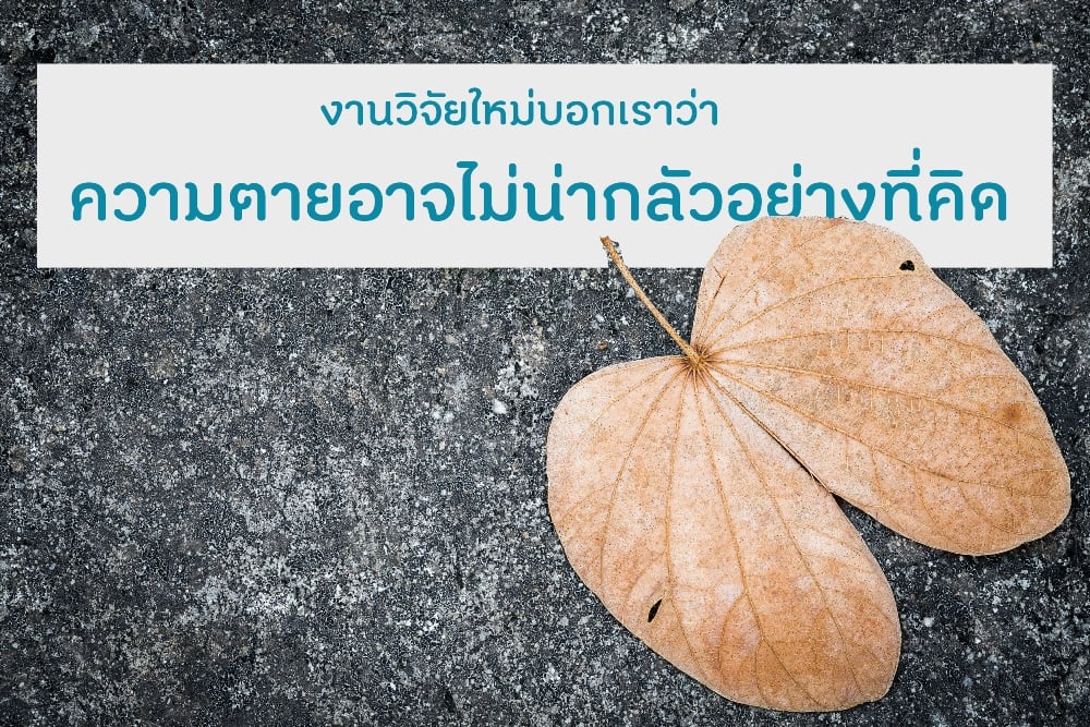 งานวิจัยใหม่บอกเราว่า ความตายอาจไม่น่ากลัวอย่างที่คิด thaihealth
