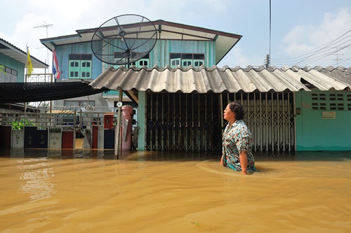 ห่วงปชช.เตือนโรคระบาดน้ำท่วม-ระวังสัตว์มีพิษ thaihealth