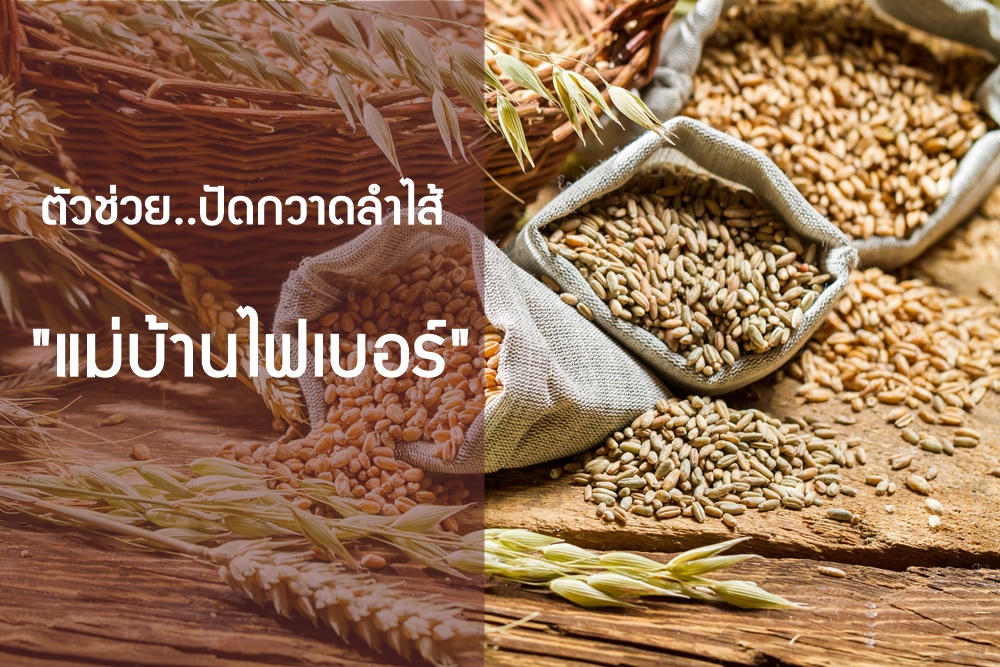 ตัวช่วย..ปัดกวาดลำไส้ แม่บ้านไฟเบอร์ thaihealth