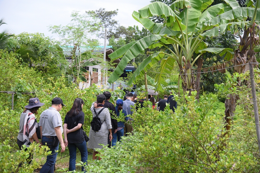 รู้จัก 2 โมเดล 'เกษตรอินทรีย์ครบวงจร' thaihealth