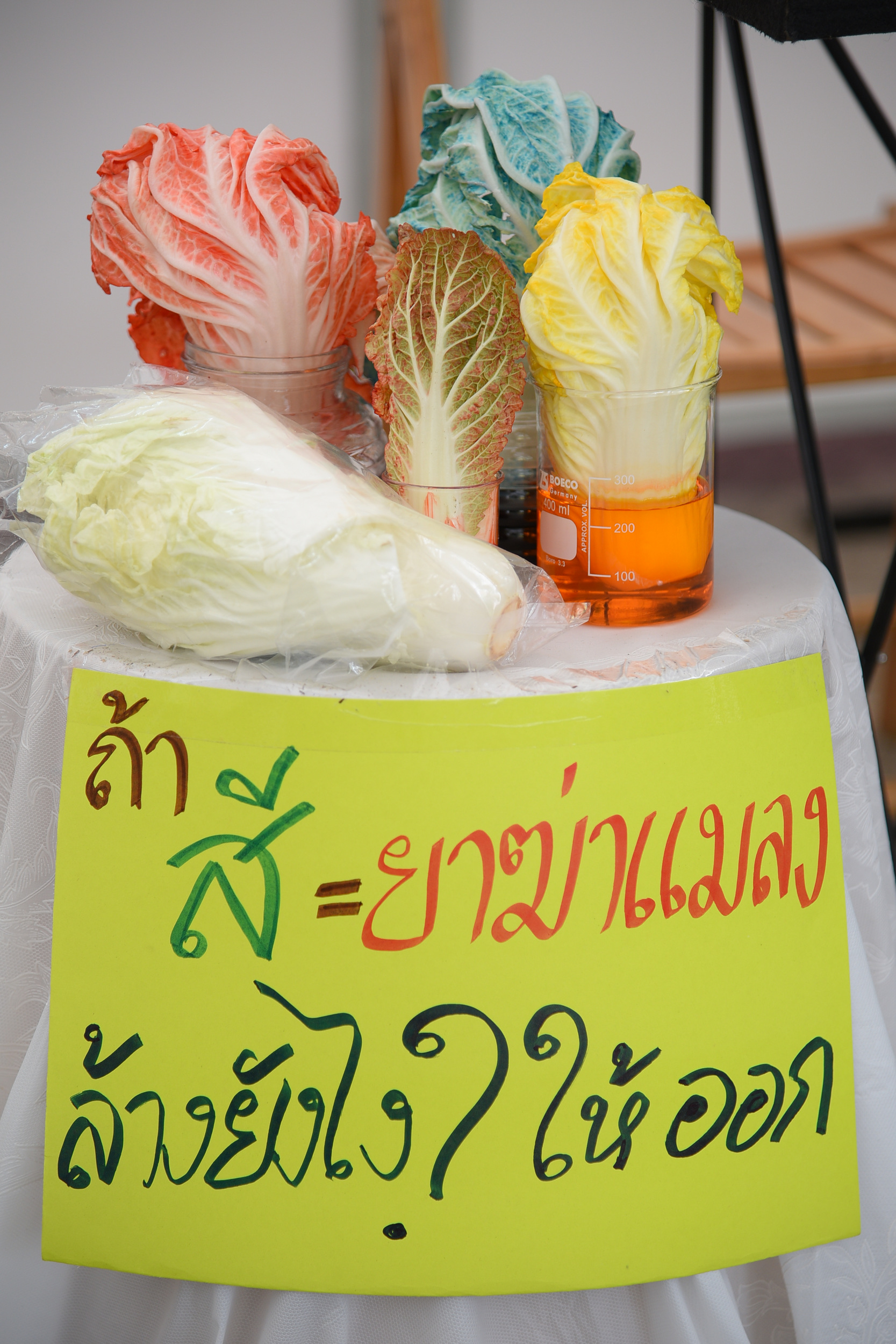 ผักผลไม้ปลอดสารพิษถึงผู้บริโภค thaihealth