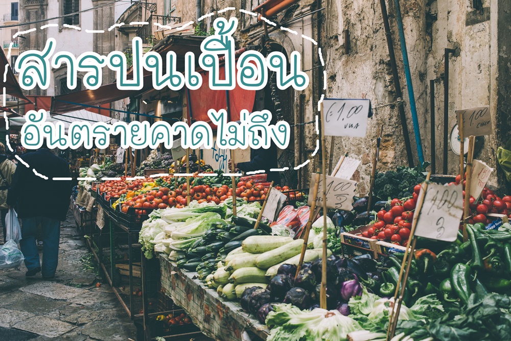 สารปนเปื้อนอันตรายคาดไม่ถึง thaihealth
