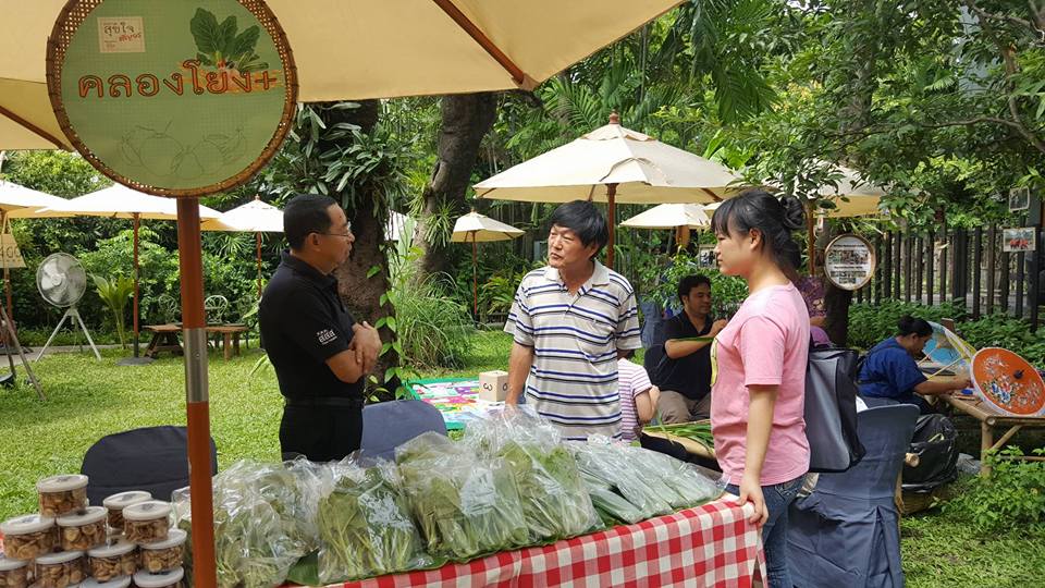 เกษตรอินทรีย์ จุดเริ่มต้นสุขภาพดี thaihealth