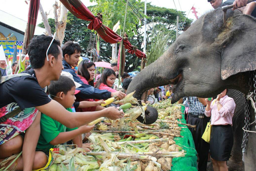 เตรียมจัดงานมหัศจรรย์งานช้างสุรินทร์ประจำปี 2560 thaihealth