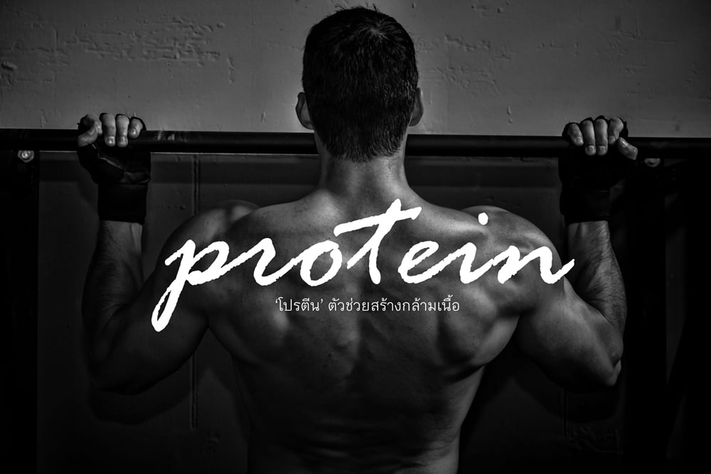 ‘โปรตีน’ ตัวช่วยสร้างกล้ามเนื้อ thaihealth