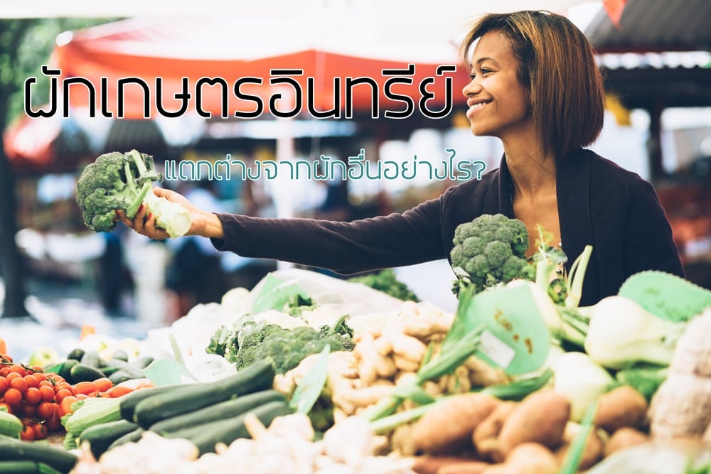 ผักเกษตรอินทรีย์ แตกต่างจากผักอื่นอย่างไร?  thaihealth