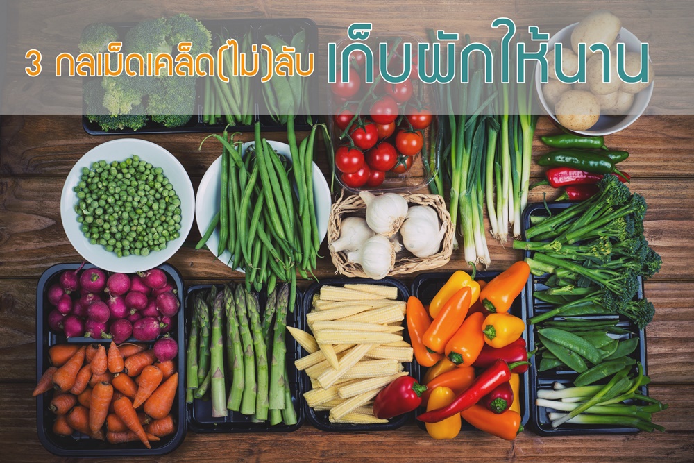 3 กลเม็ดเคล็ด(ไม่)ลับ เก็บผักให้นาน thaihealth
