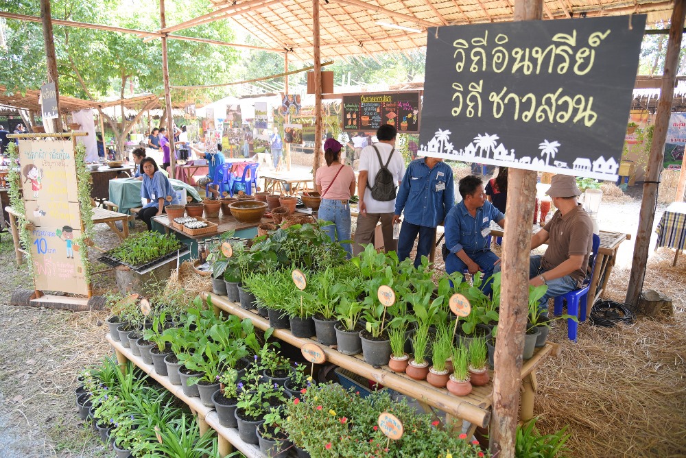 STARTUP กับการไปสู่สังคมสุขใจ thaihealth