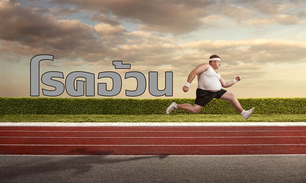 โรคอ้วนลงพุง thaihealth