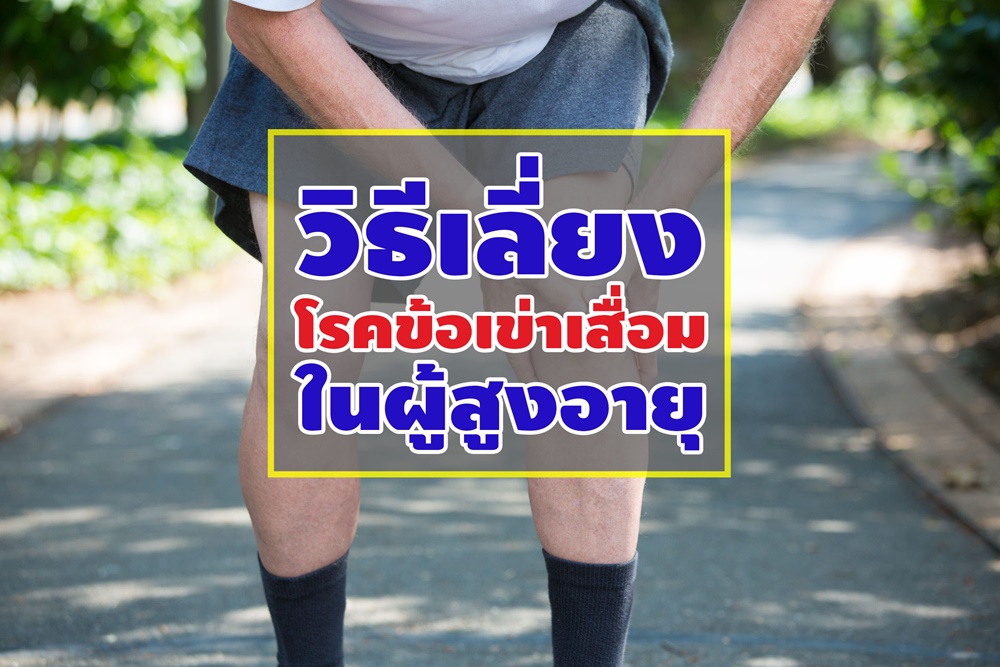 วิธีเลี่ยงโรคข้อเข่าเสื่อมในผู้สูงอายุ  thaihealth