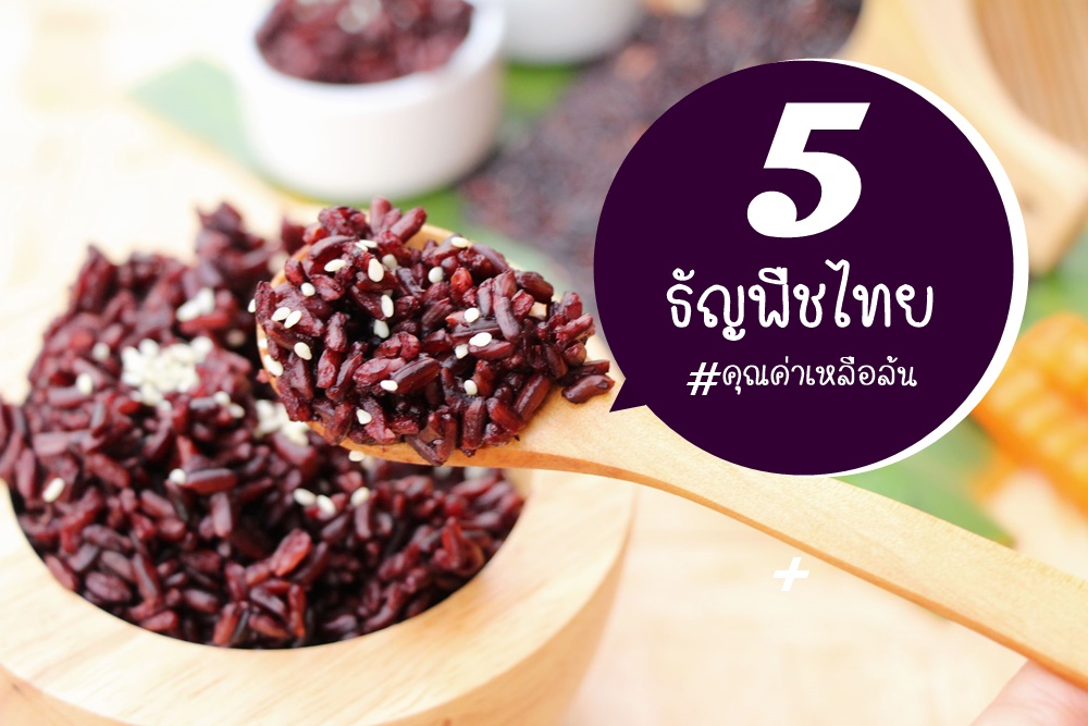 5 ธัญพืชไทย คุณค่าเหลือล้น thaihealth