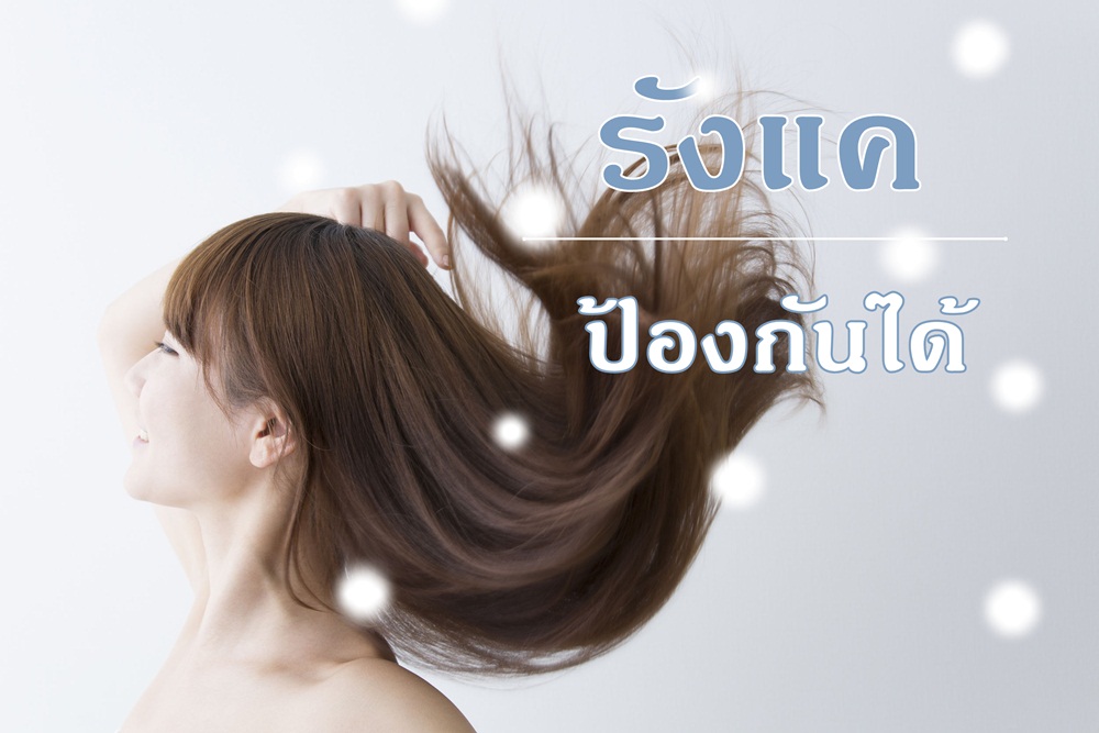 รังแค...ป้องกันได้ thaihealth