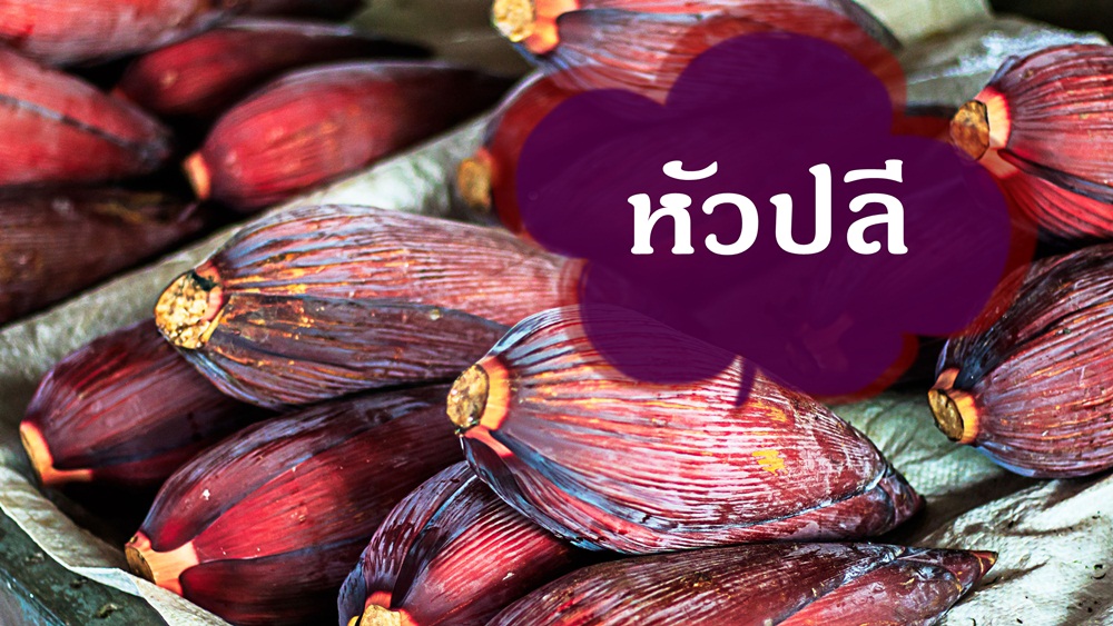 หัวปลี : อาหารบำรุงแม่และลูก thaihealth