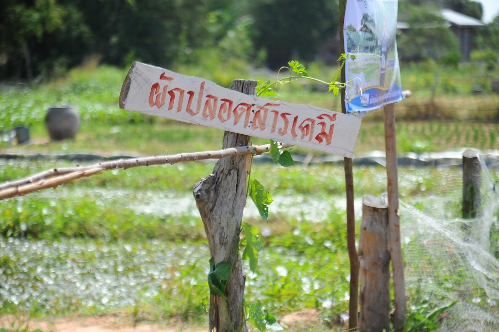 ‘ชาวบ้านกะปง’ ปลูกผักลดรายจ่าย-ปลอดภัยห่างไกลโรค thaihealth