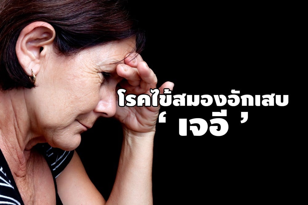 โรคไข้สมองอักเสบ 'เจอี' thaihealth