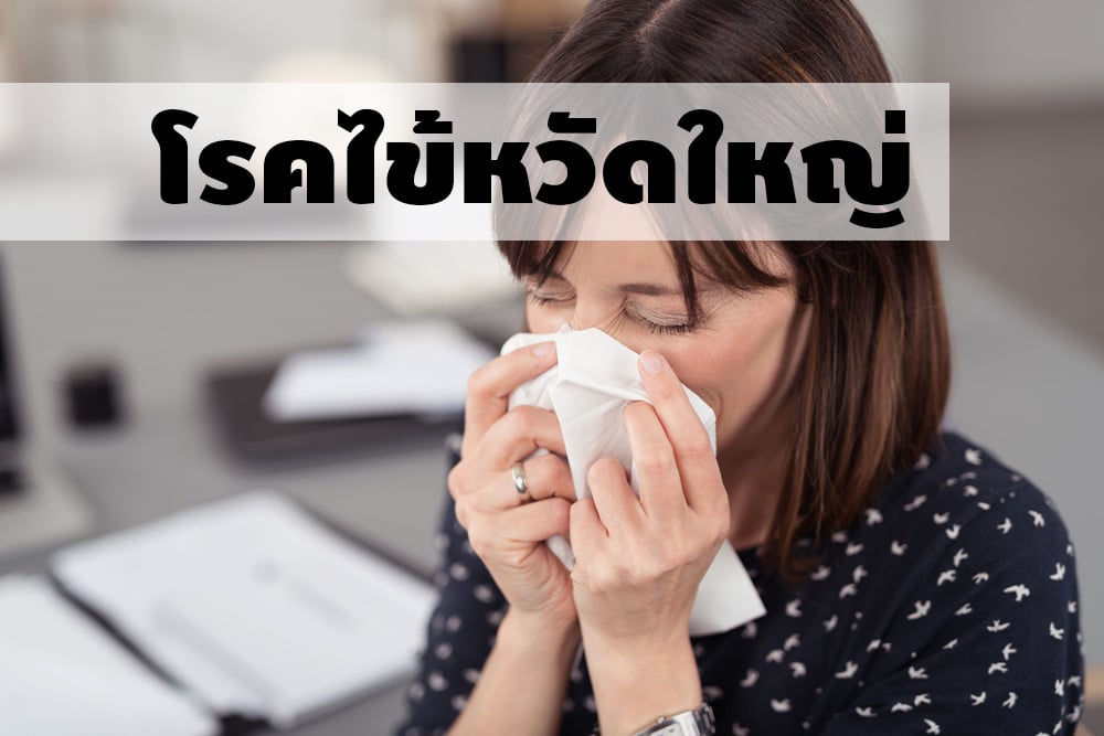 โรคไข้หวัดใหญ่ thaihealth