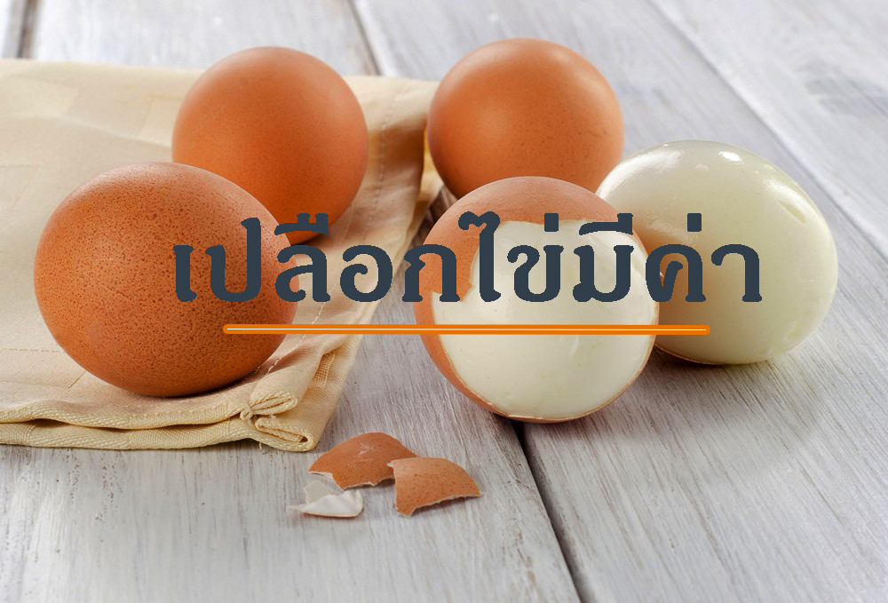 เปลือกไข่มีค่า thaihealth