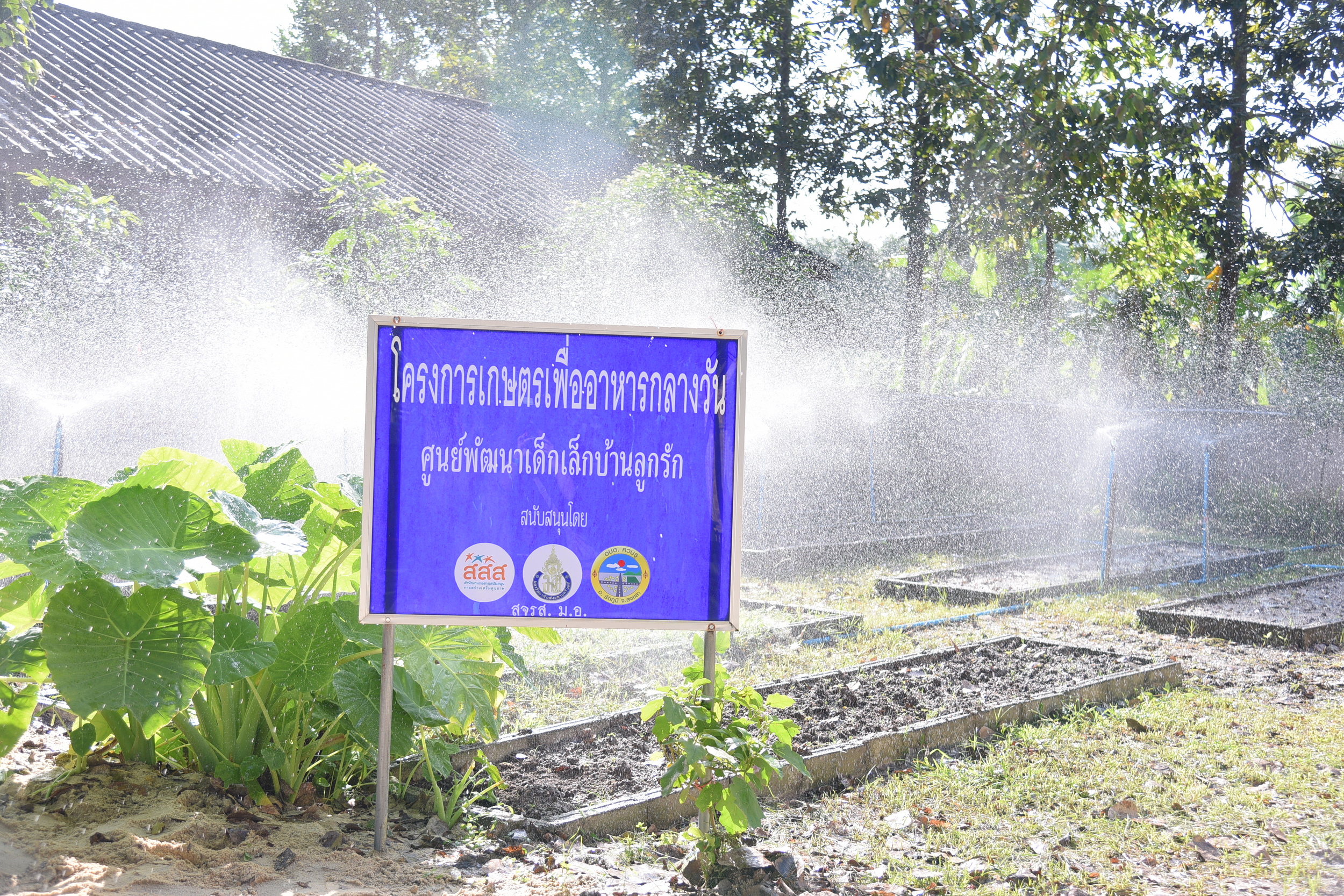 โมเดล 'ควนรู' บนวิถีความยั่งยืน-ชุมชนเข้มแข็ง thaihealth