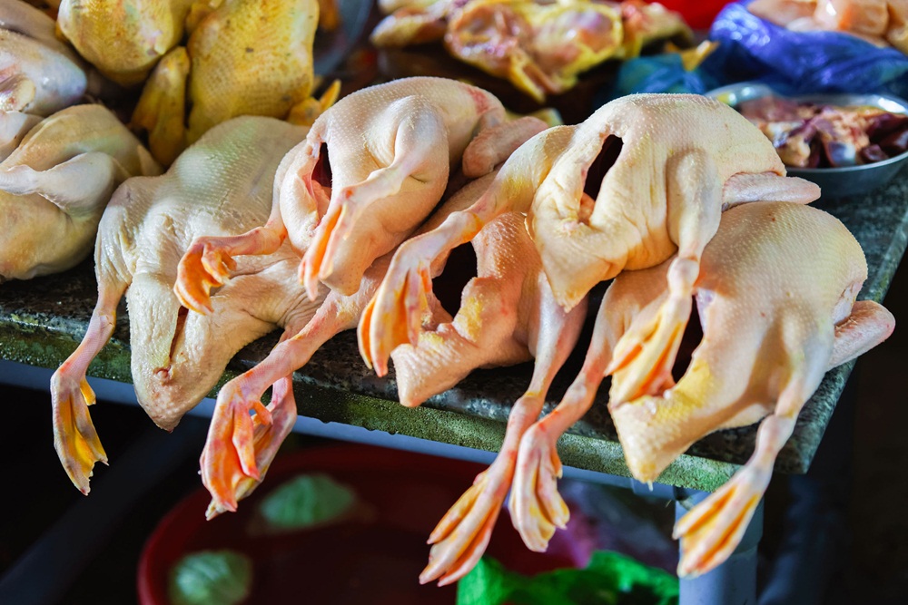ตรุษจีนเลี่ยงนำเป็ดไก่ป่วยตายมาทำอาหาร thaihealth