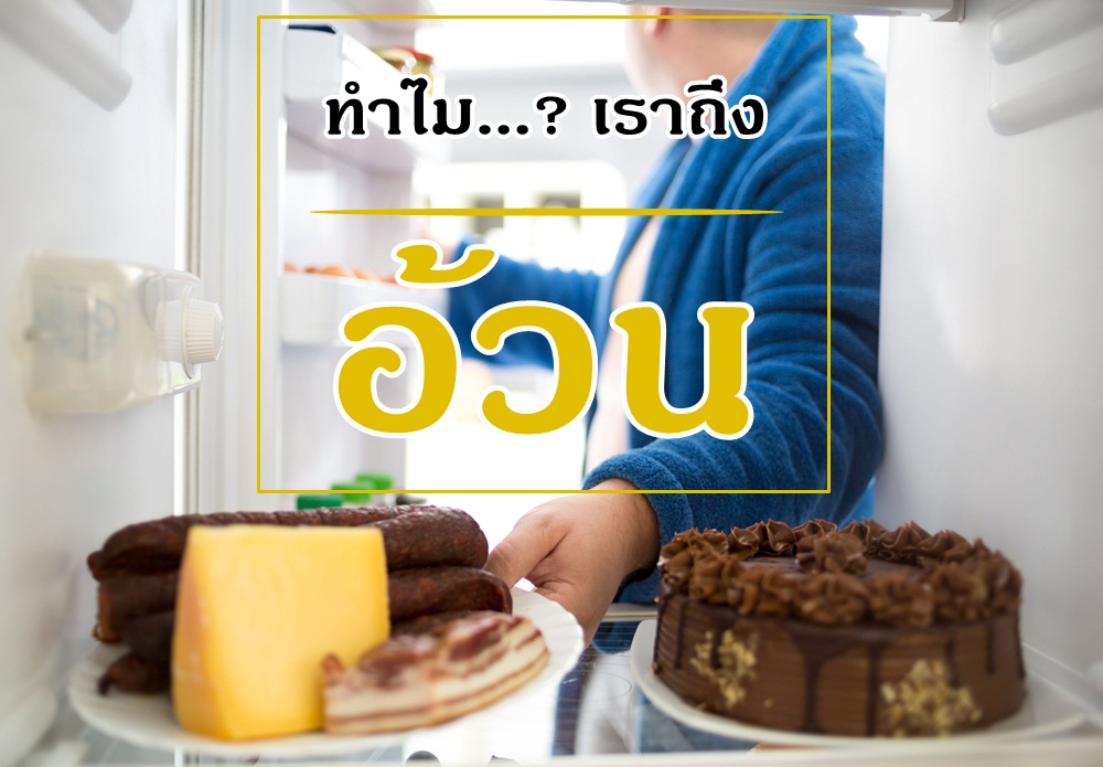 ทำไม...? เราถึงอ้วน thaihealth